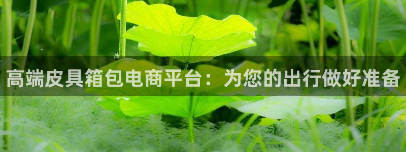 卧龙娱乐是真假吗