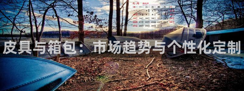 卧龙娱乐彩下载