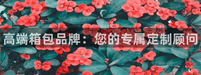 创亿娱乐d卧龙313322