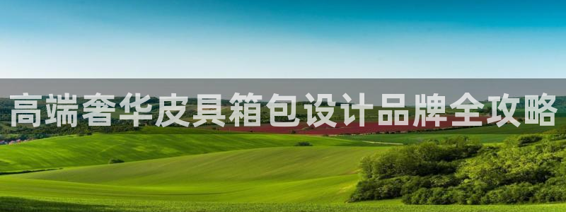 卧龙娱乐气垫项目投资