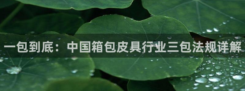 卧龙湖娱乐设施