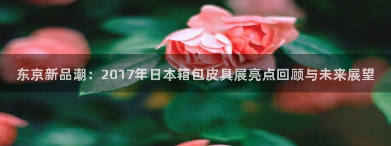 卧龙港娱乐城