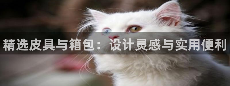 卧龙娱乐彩下载