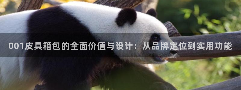卧龙冲气娱乐设备