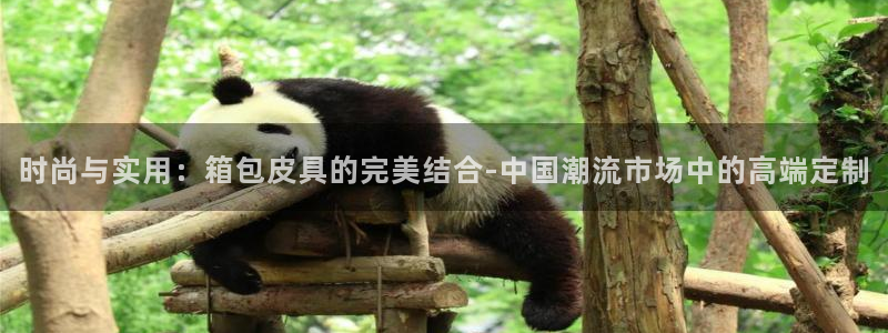 卧龙娱乐挂机软件下载