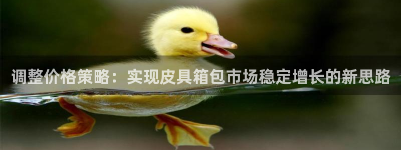 娱乐资讯君卧龙