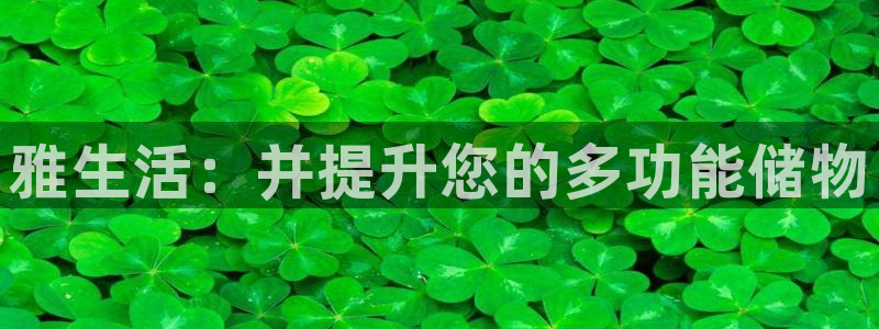 卧龙娱乐招商主管
