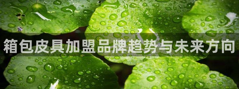 卧龙凤雏娱乐资讯