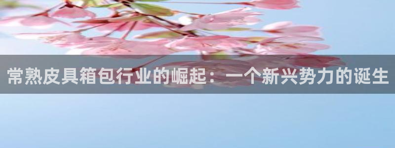 卧龙娱乐挂机平台有哪些