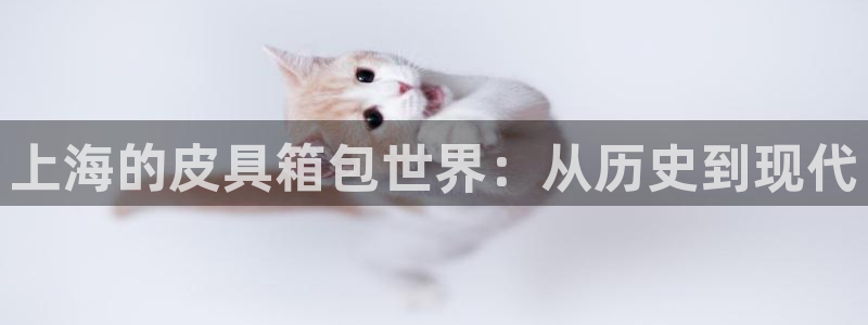 卧龙娱乐挂机软件