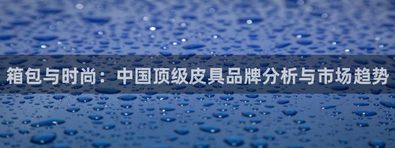 卧龙娱乐是哪个系列