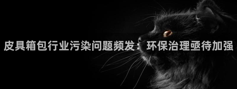 卧龙山娱乐项目