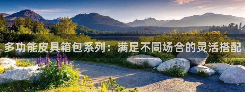 卧龙娱乐彩票怎么玩