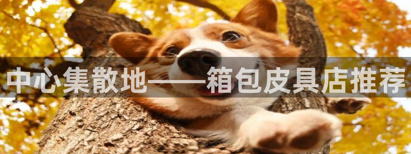 南阳卧龙娱乐城