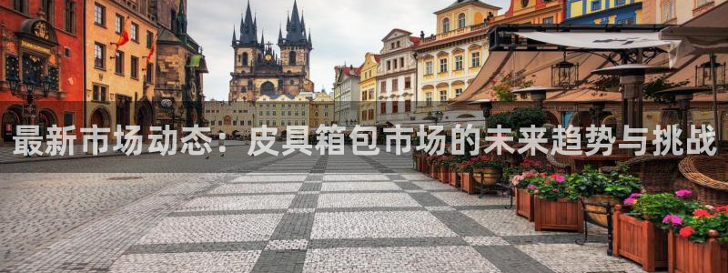 卧龙娱乐总代理电话