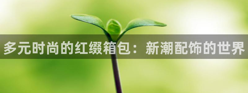 卧龙娱乐怎么注册公司