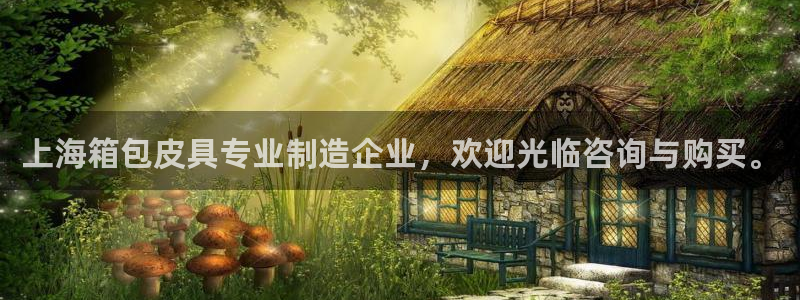 卧龙娱乐是哪个系列