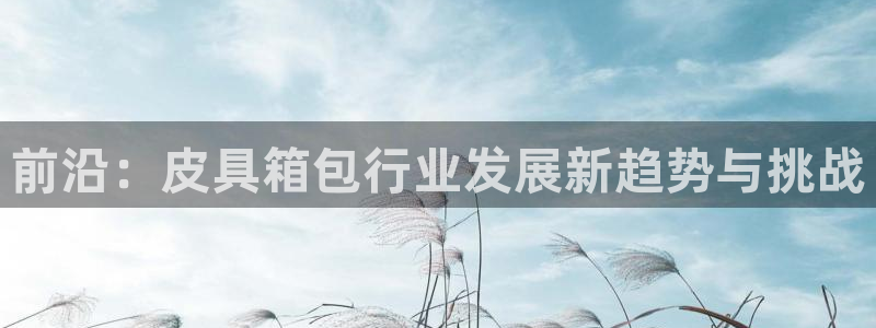 卧龙冲气娱乐设备