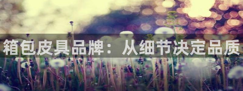 卧龙娱乐在线直播平台