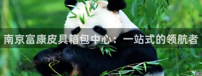 卧龙娱乐老板叫什么