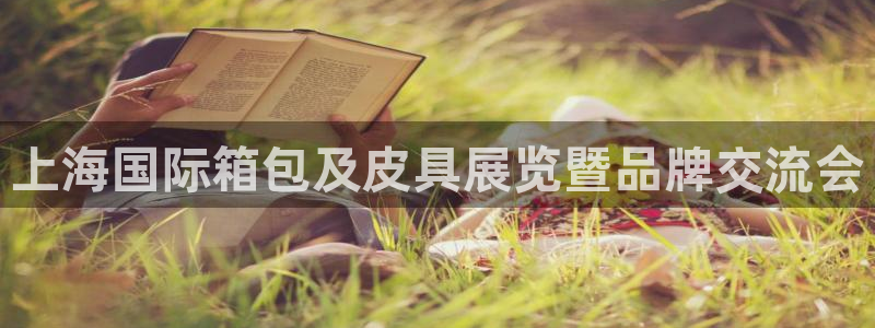 辣椒娱乐卧龙凤雏