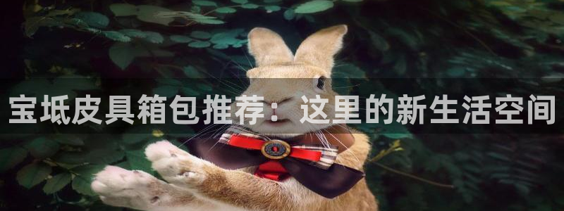 卧龙娱乐是哪个系列