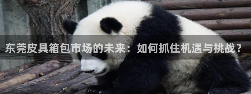 卧龙区凤凰娱乐