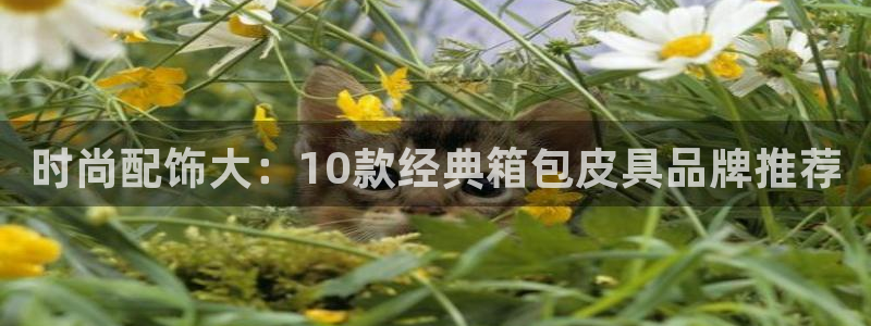 卧龙路凤凰娱乐