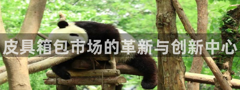 卧龙娱乐app下载