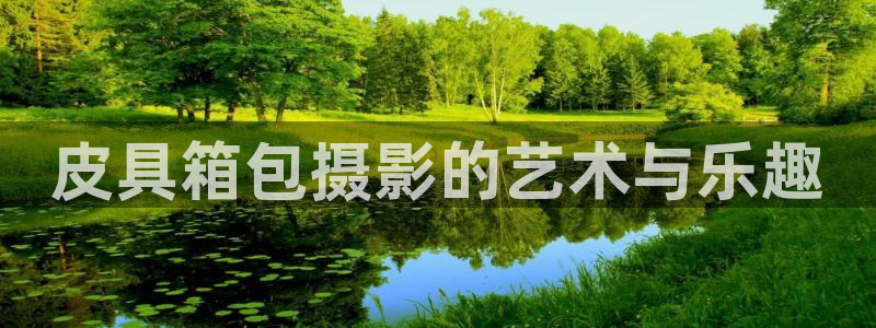 hr娱乐 卧龙主管60447