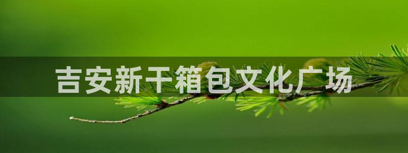 卧龙娱乐挂机软件下载