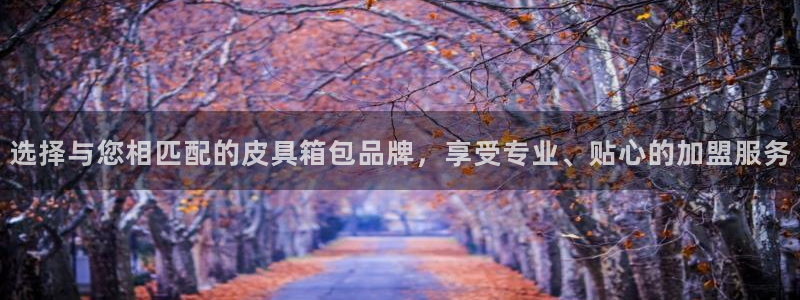 卧龙儿童娱乐设施