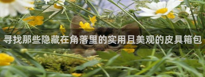 卧龙娱乐能出款吗