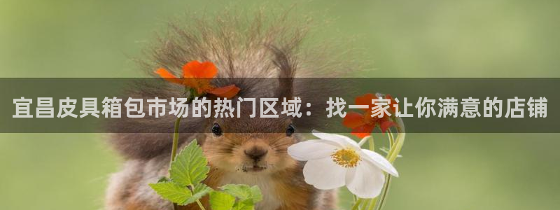 卧龙娱乐是哪个系列