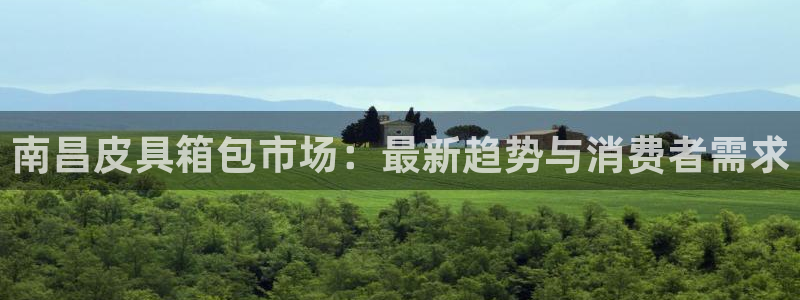 娱乐聚焦卧龙凤雏