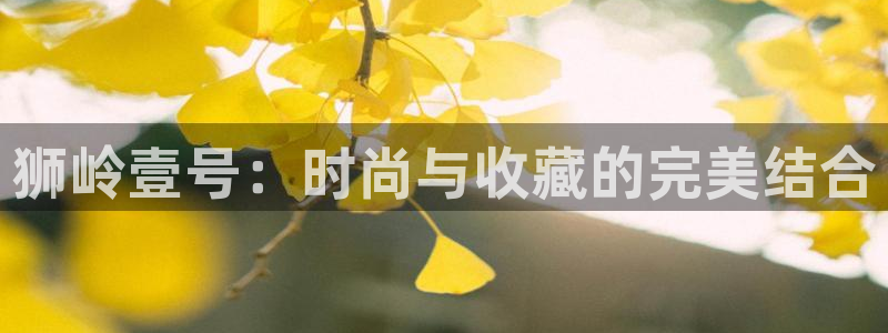 凤凰娱乐ktv卧龙路