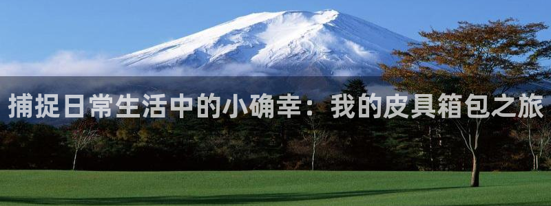 卧龙娱乐挂机平台官网