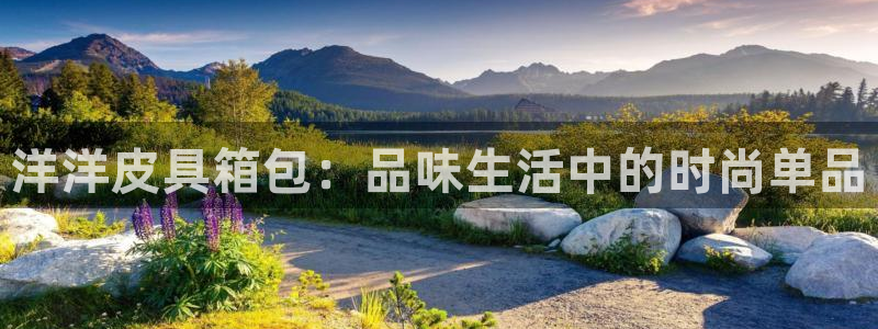 SKY娱乐 卧龙股东60447