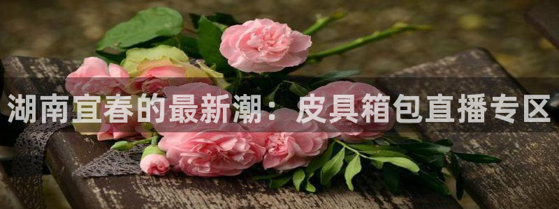 卧龙娱乐怎么注册新账号