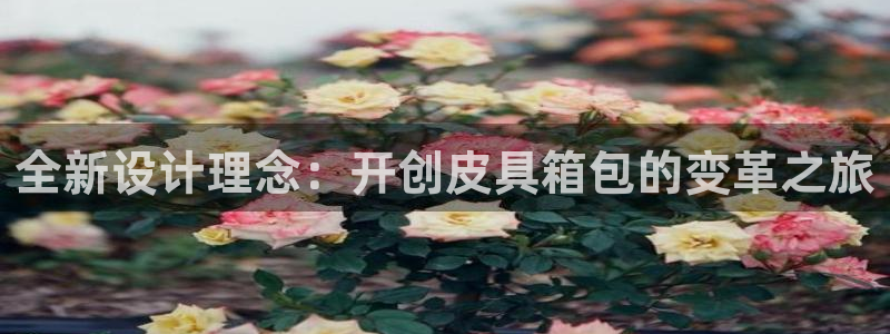 卧龙娱乐官网注册