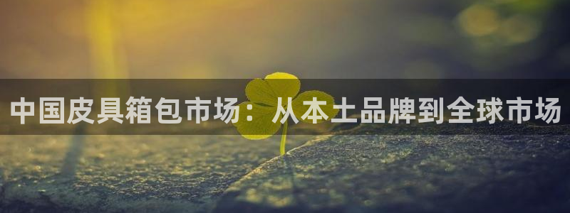 卧龙娱乐注册网址多少号