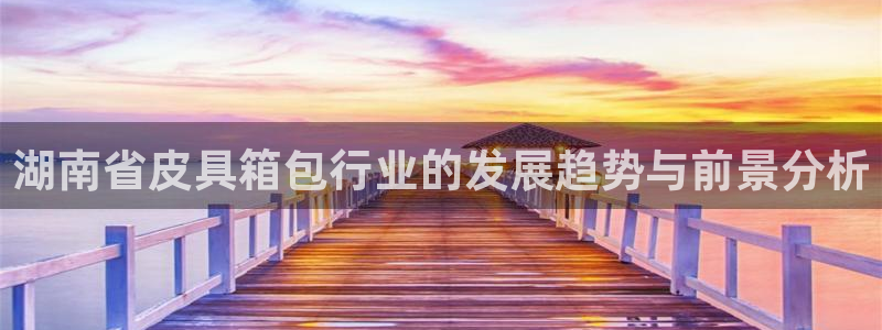 HR娱乐卧龙主管60447