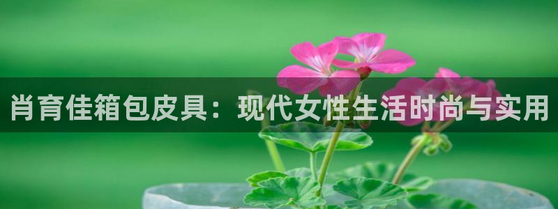 PT娱乐卧龙招商60447