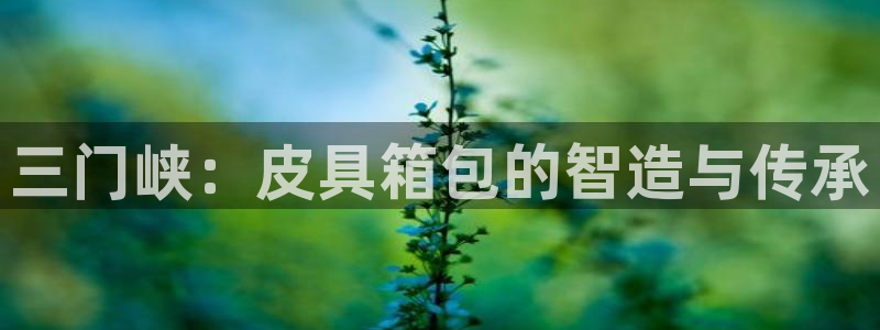 卧龙娱乐招商主管招聘