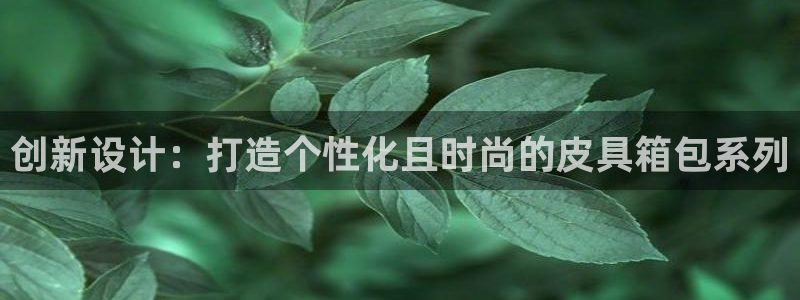 卧龙2神机娱乐