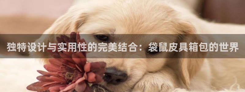 卧龙居餐饮娱乐
