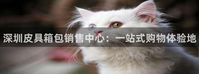 卧龙娱乐官网网址