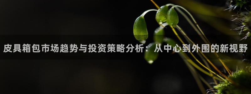 卧龙娱乐app彩票下载