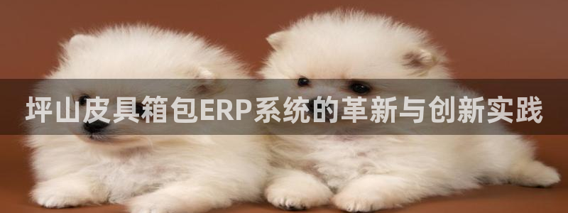 西安卧龙娱乐播报