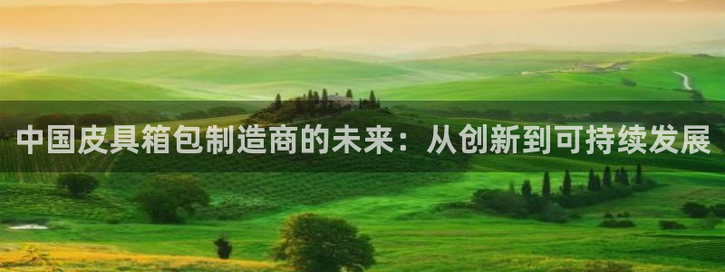 卧龙娱乐气垫项目投资